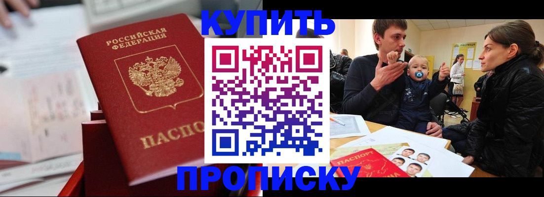 прописка штамп в Сольцах